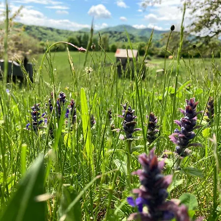 Casa rural Kopanicky Dvor