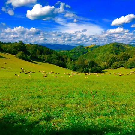 Landhaus Kopanicky Dvor