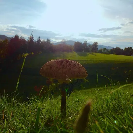 Gospodarstwo wiejskie Kopanicky Dvor Hodruša