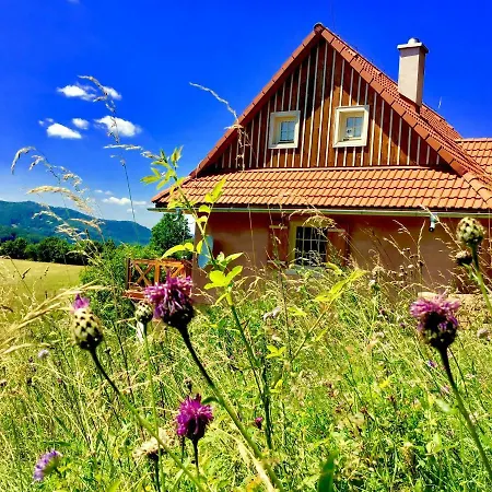 Kopanicky Dvor Country house *