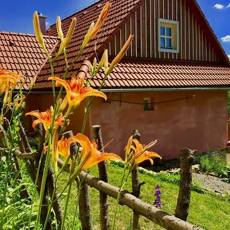 Kopanicky Dvor Gospodarstwo wiejskie *